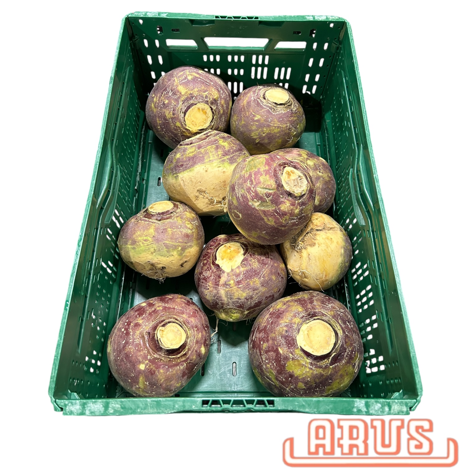 Steckrüben 15kg - dtsch. -