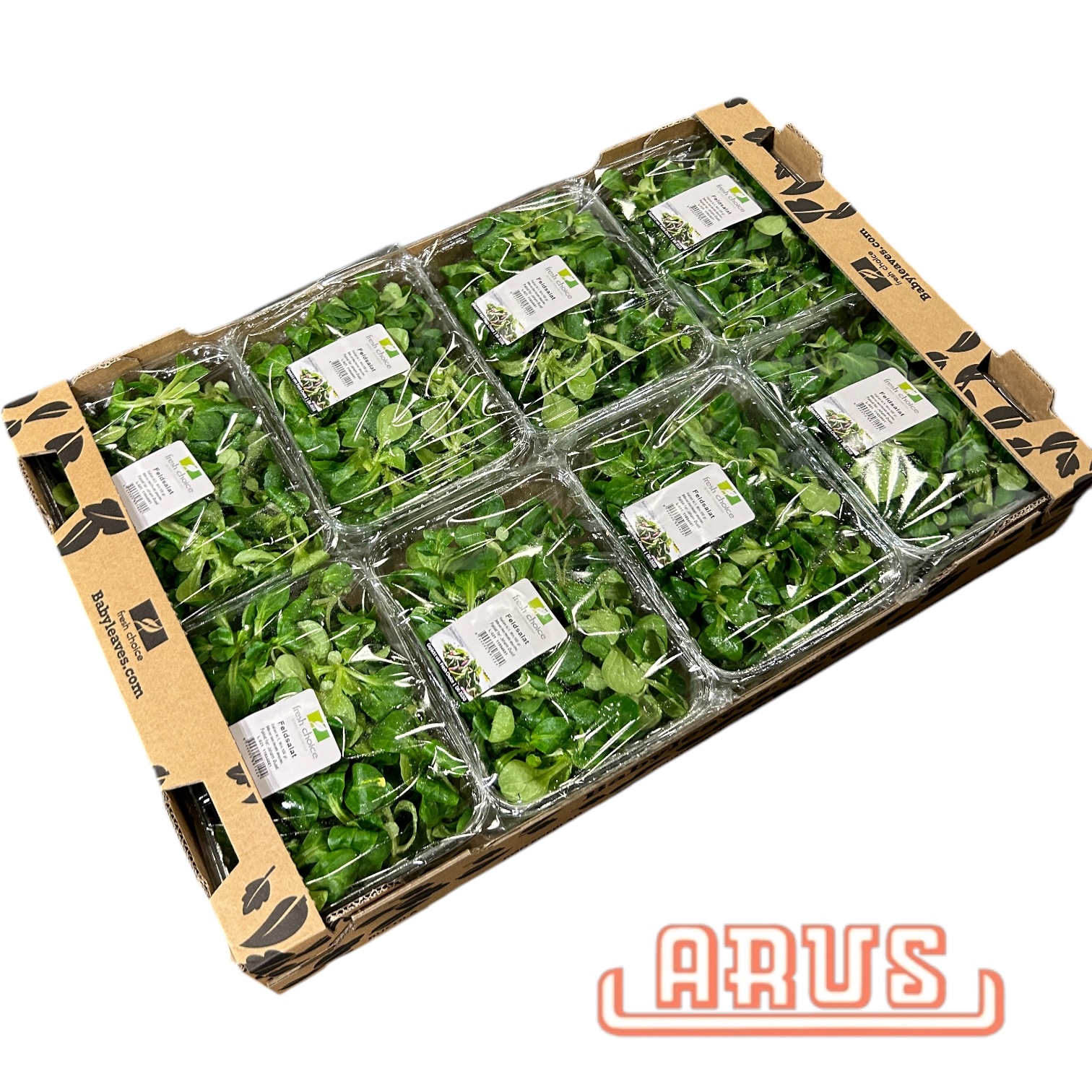 Feldsalat Schalen 8 x 150g