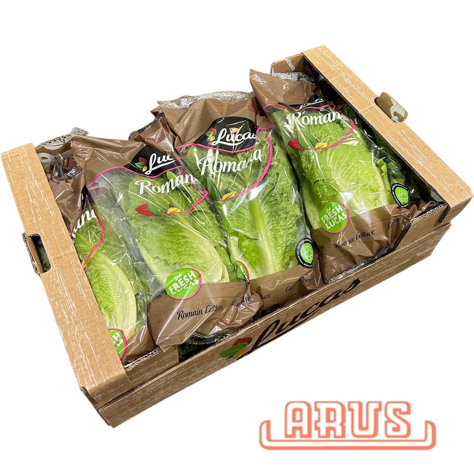 Römer 10er Flow Pack -span.-