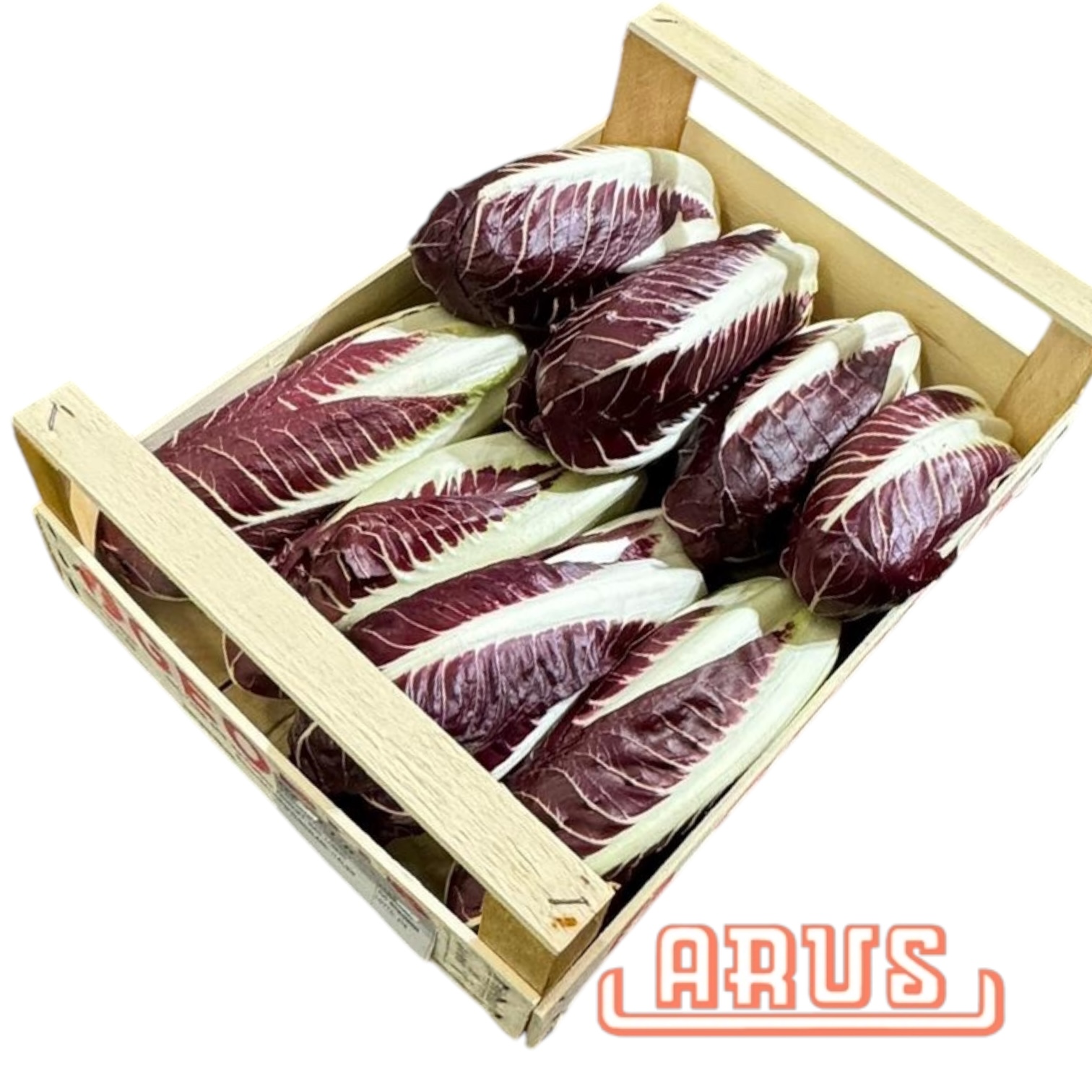 Trivisano 3kg -ital.-