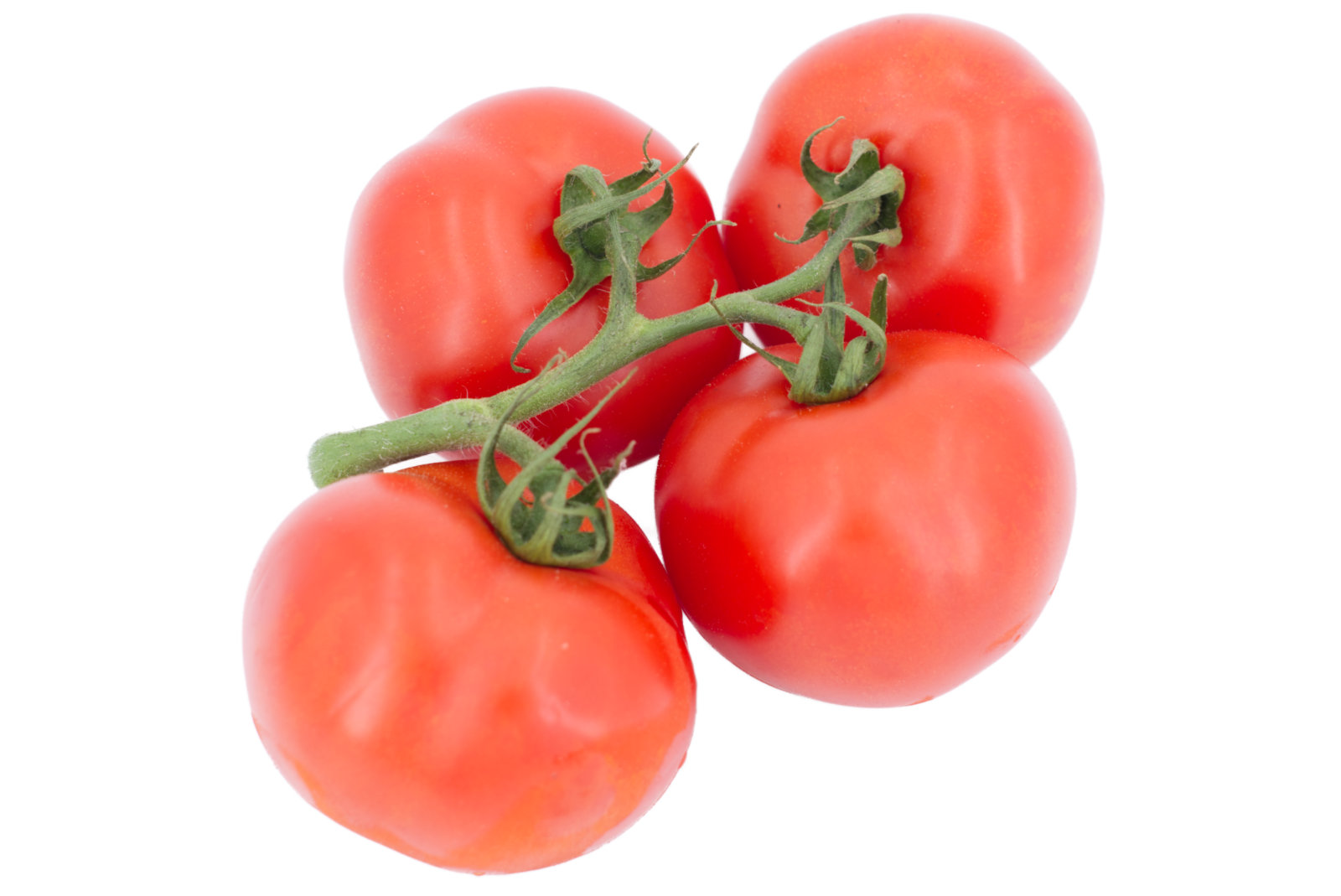 Strauchtomaten 5kg - niederl. -