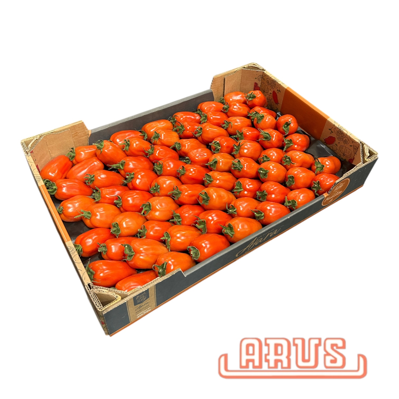 Romatomaten "San Marzano, Ajara" 6kg - gelegt -