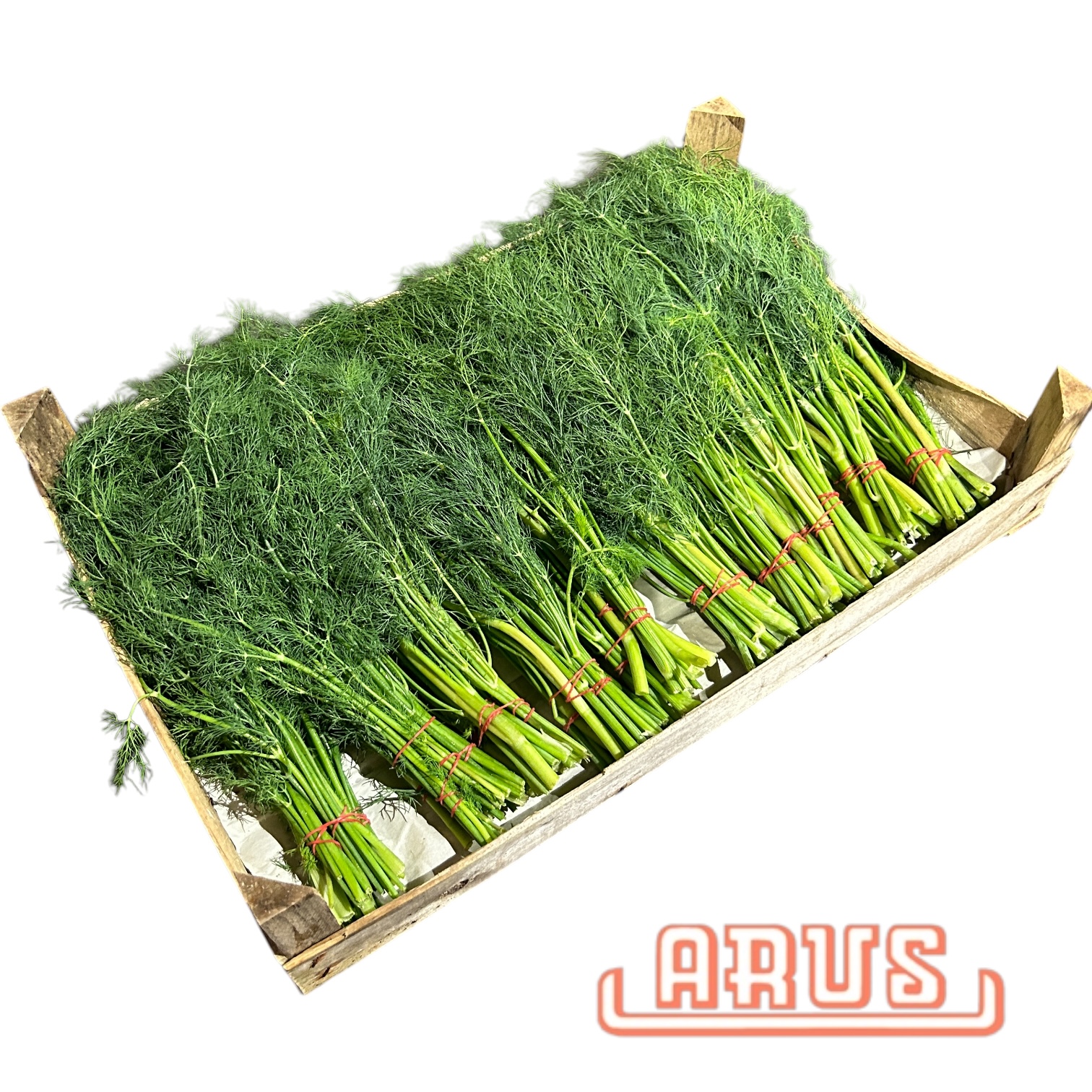 Dill "große Handbunde" 5er