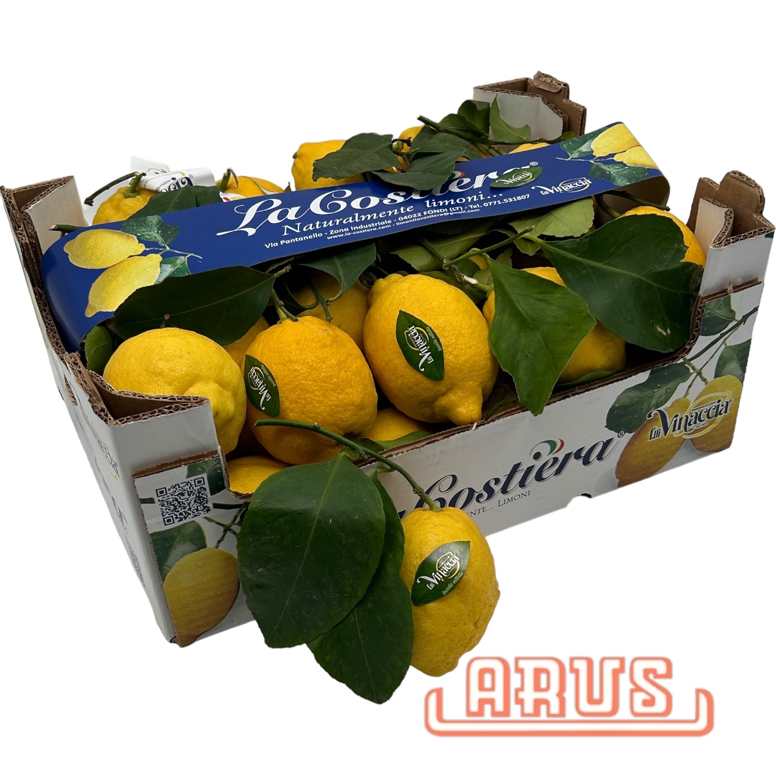 Zitronen "von der Amalfiküste mit Blatt"