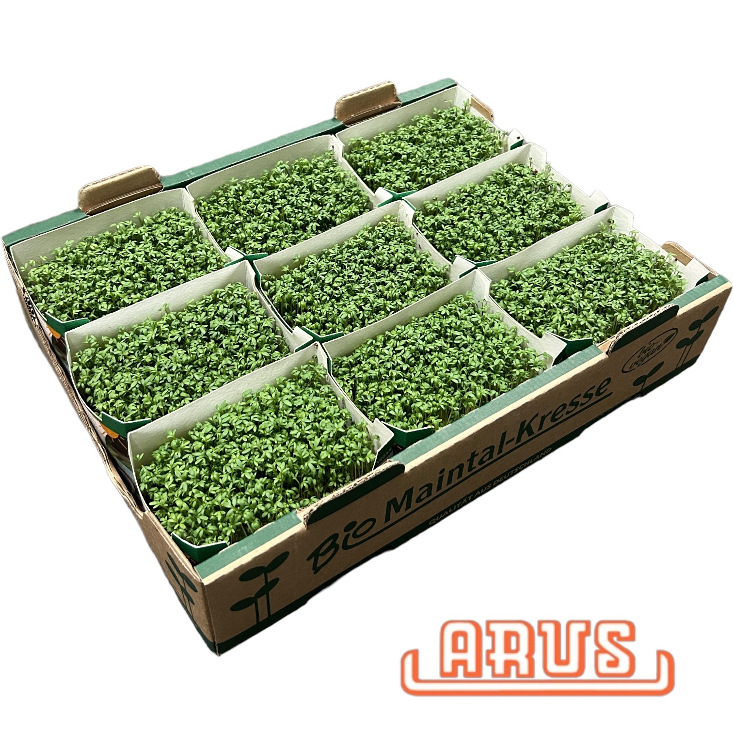 Bio Kresse Schalen 9er
